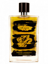 Simone Andreoli Silenzio